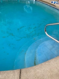 Filthy pool