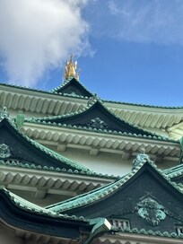 名古屋城
暑かったです。中に入らなかったのが残念でした。