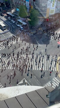 Shibuya Vrossing