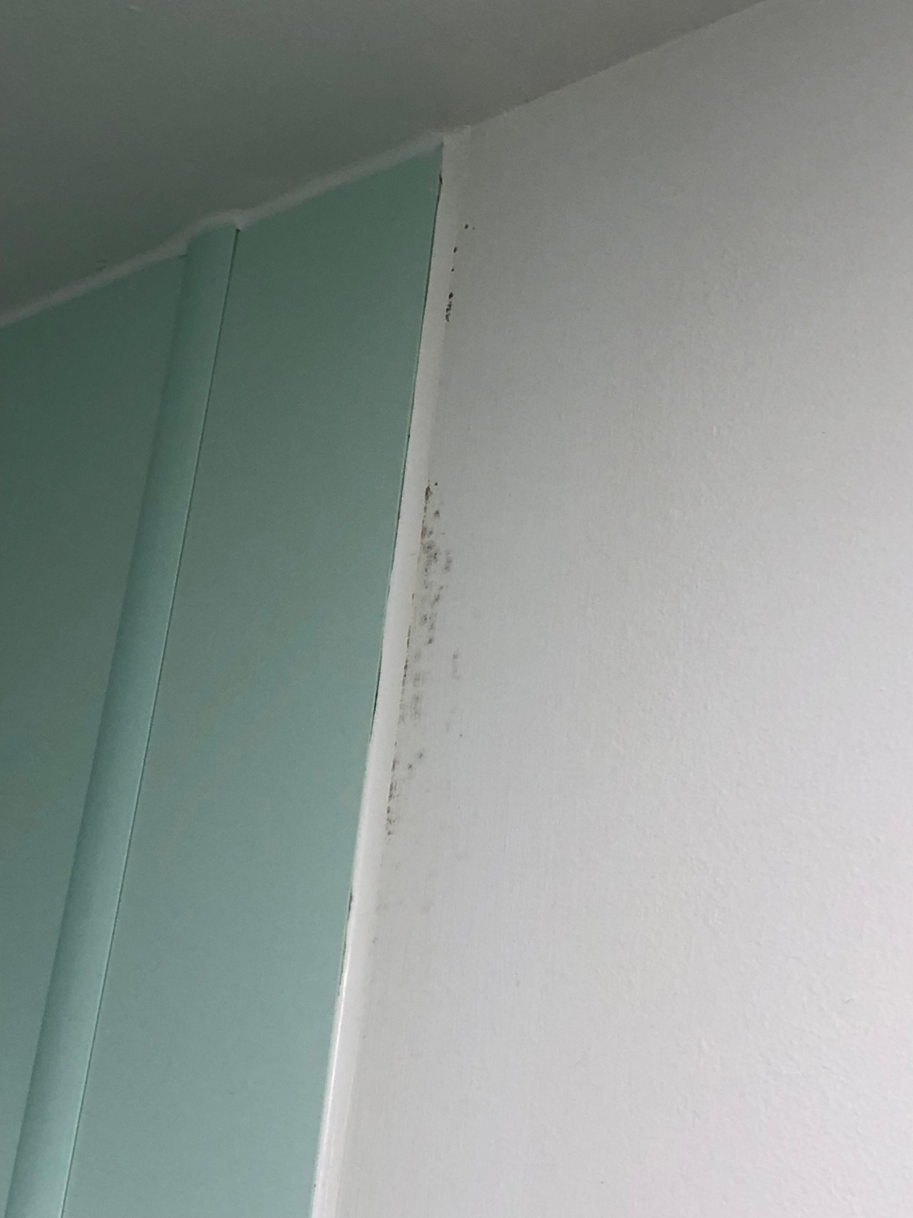 Mould in bathroom