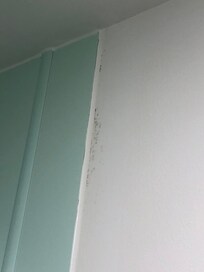 Mould in bathroom
