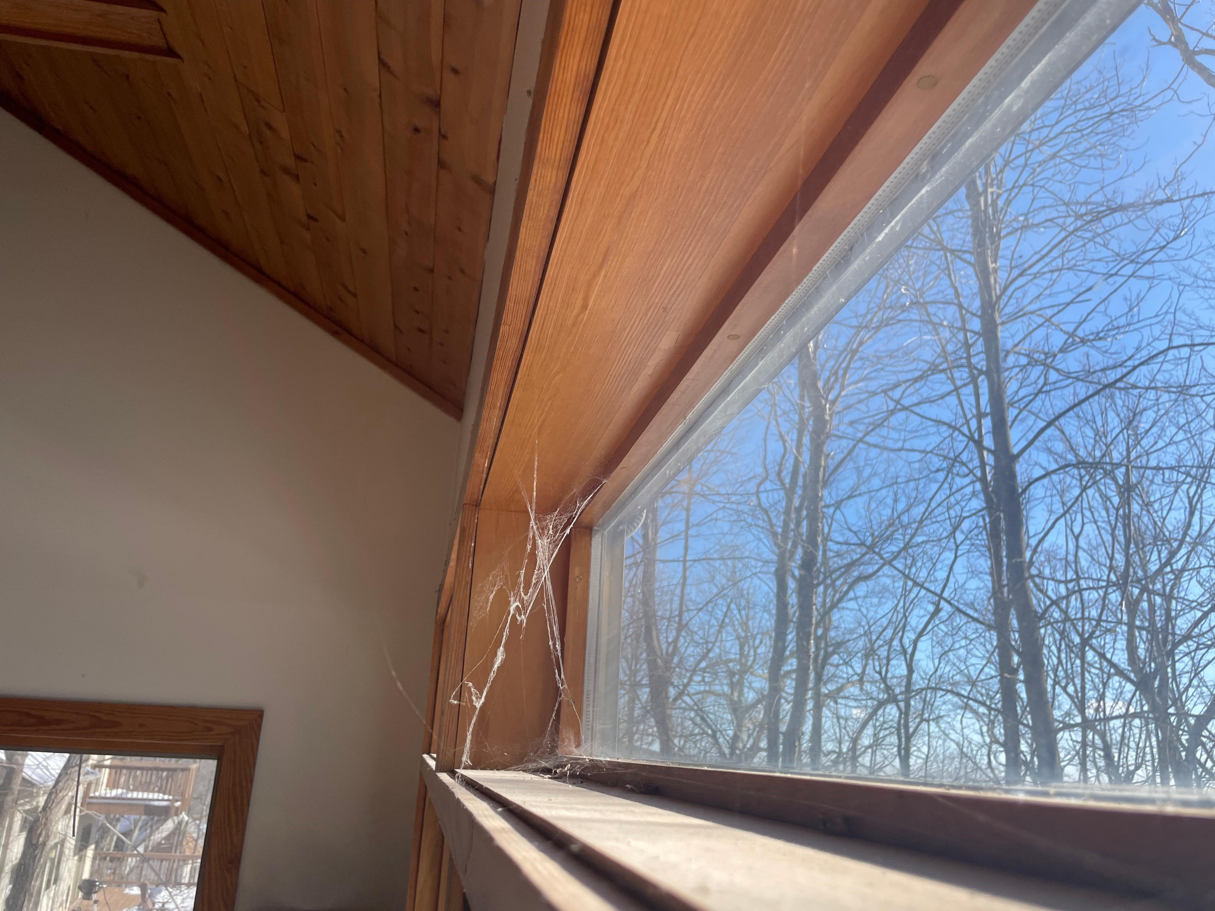 Spiderwebs never clean above sliding door