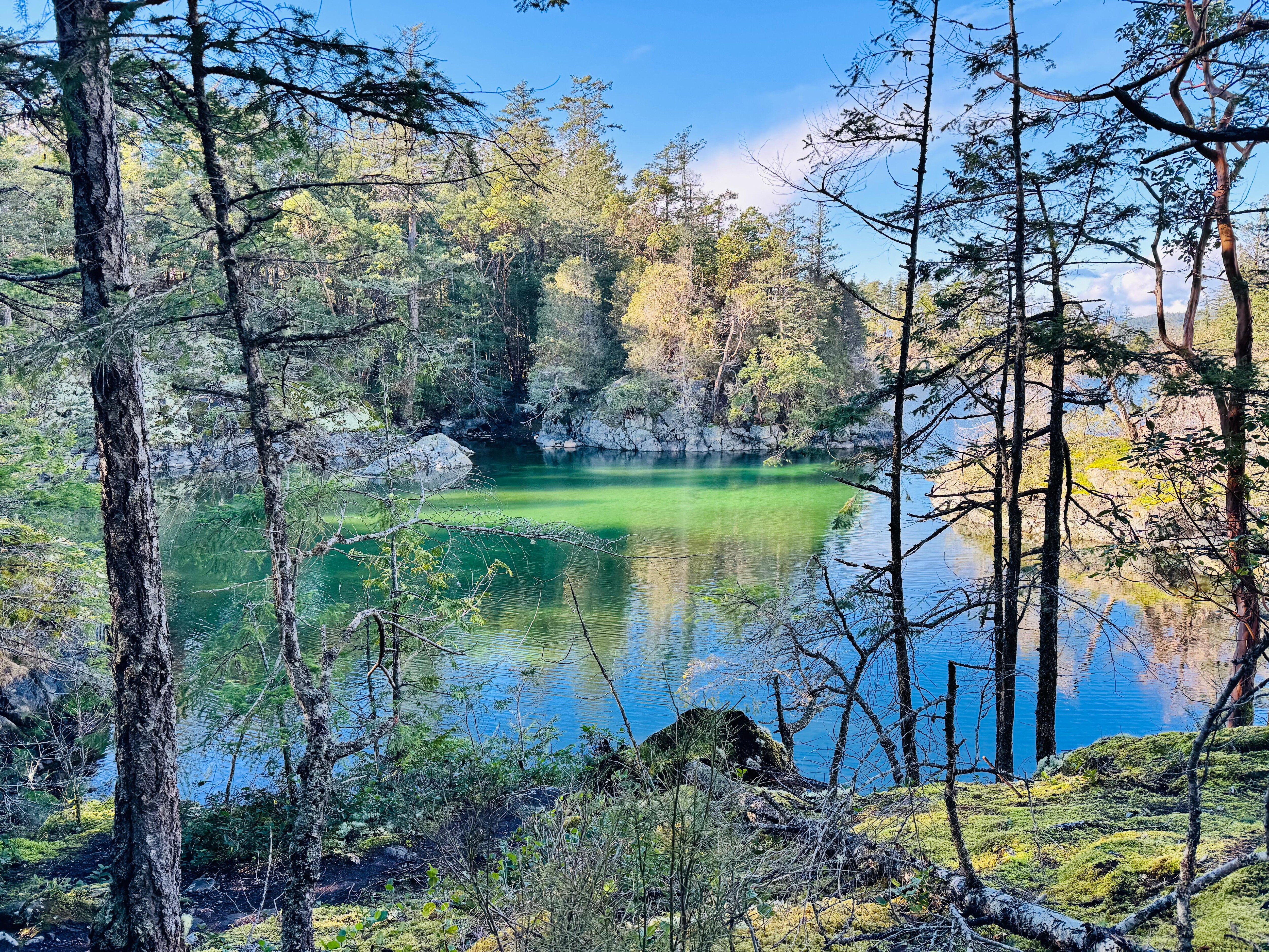 Great hike close to cabin