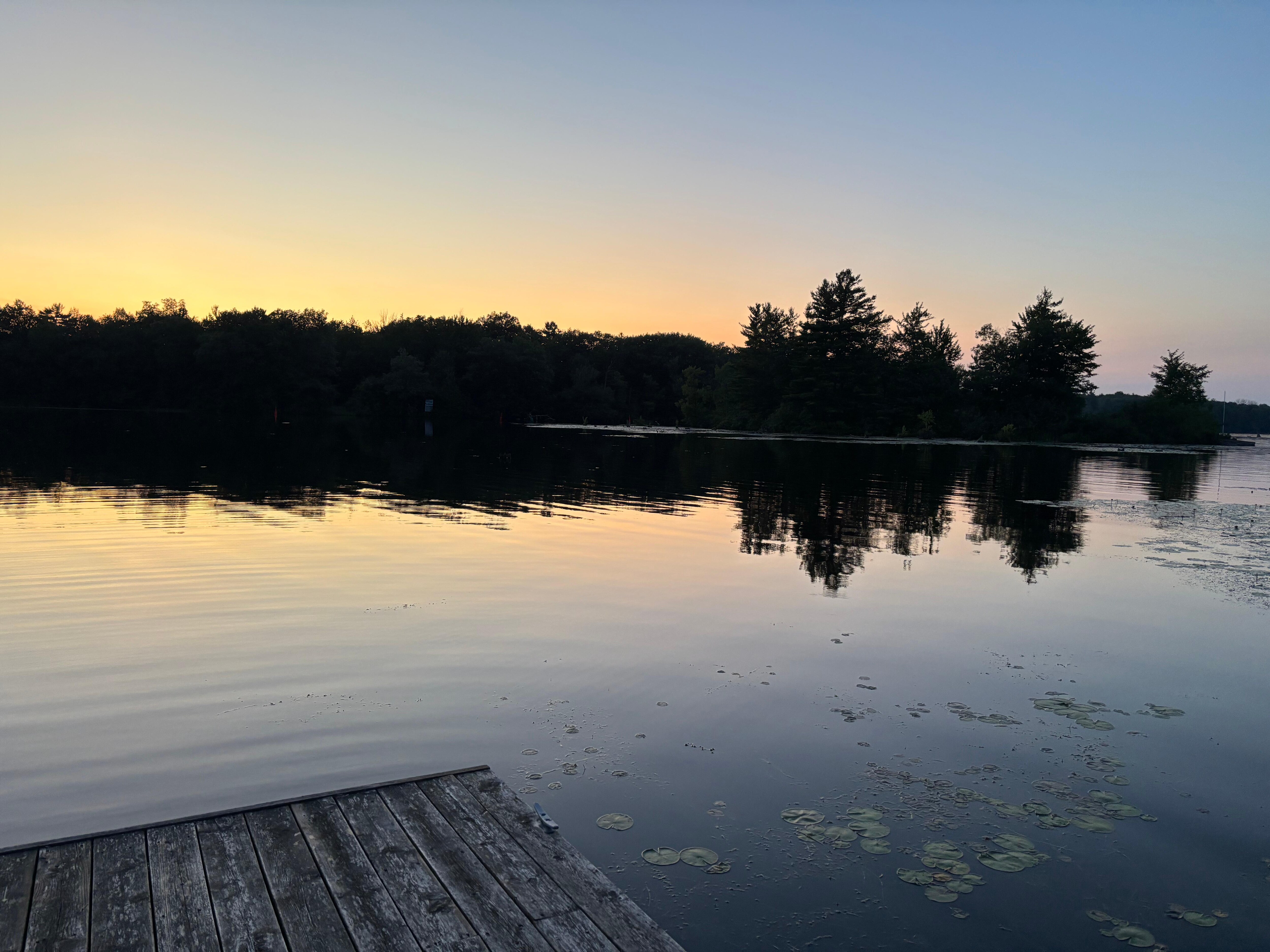 Dock view