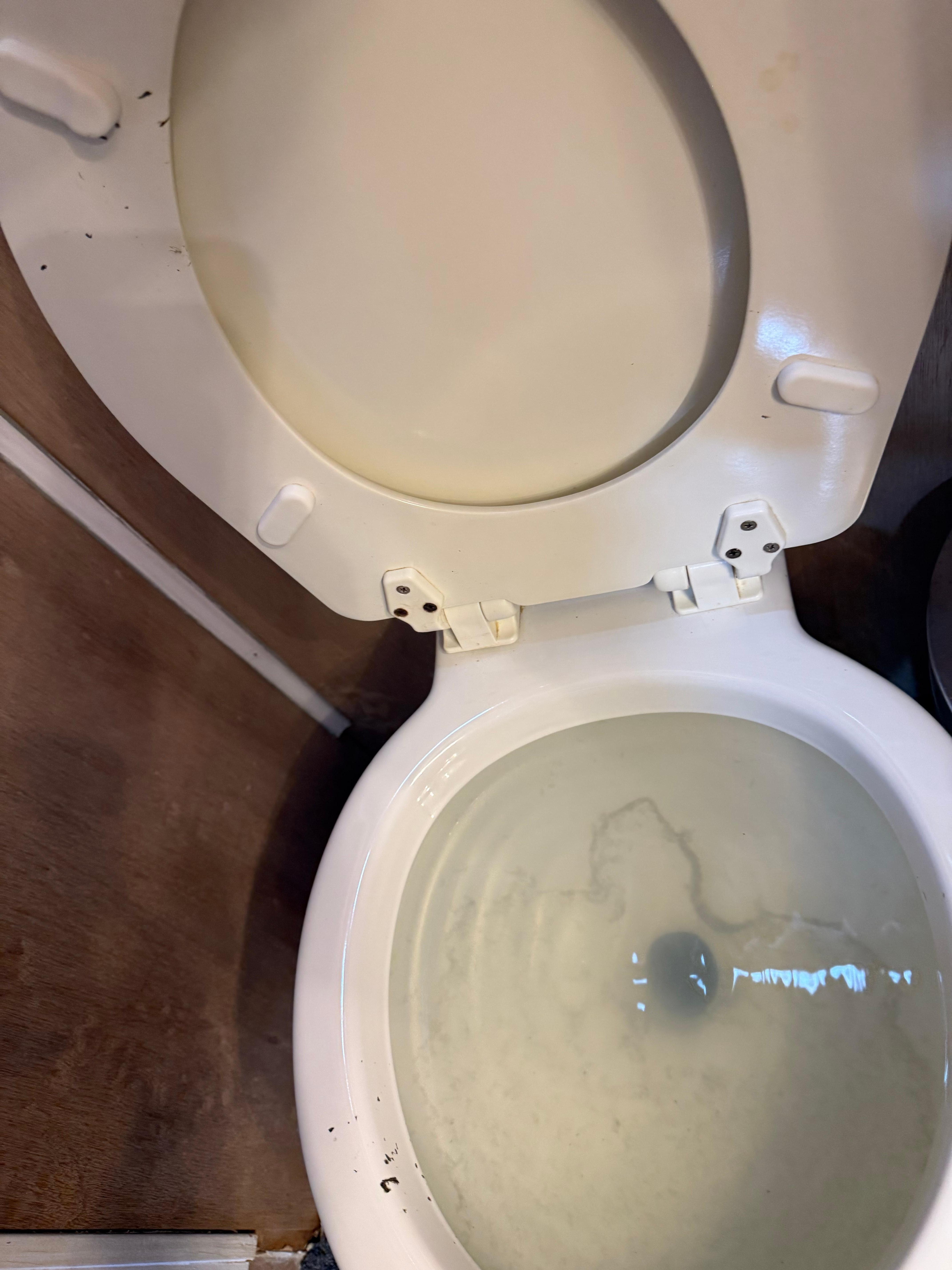 Stopped up dirty head with broken toilet seat