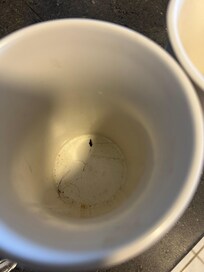 Utensil holder dirty w hairs
