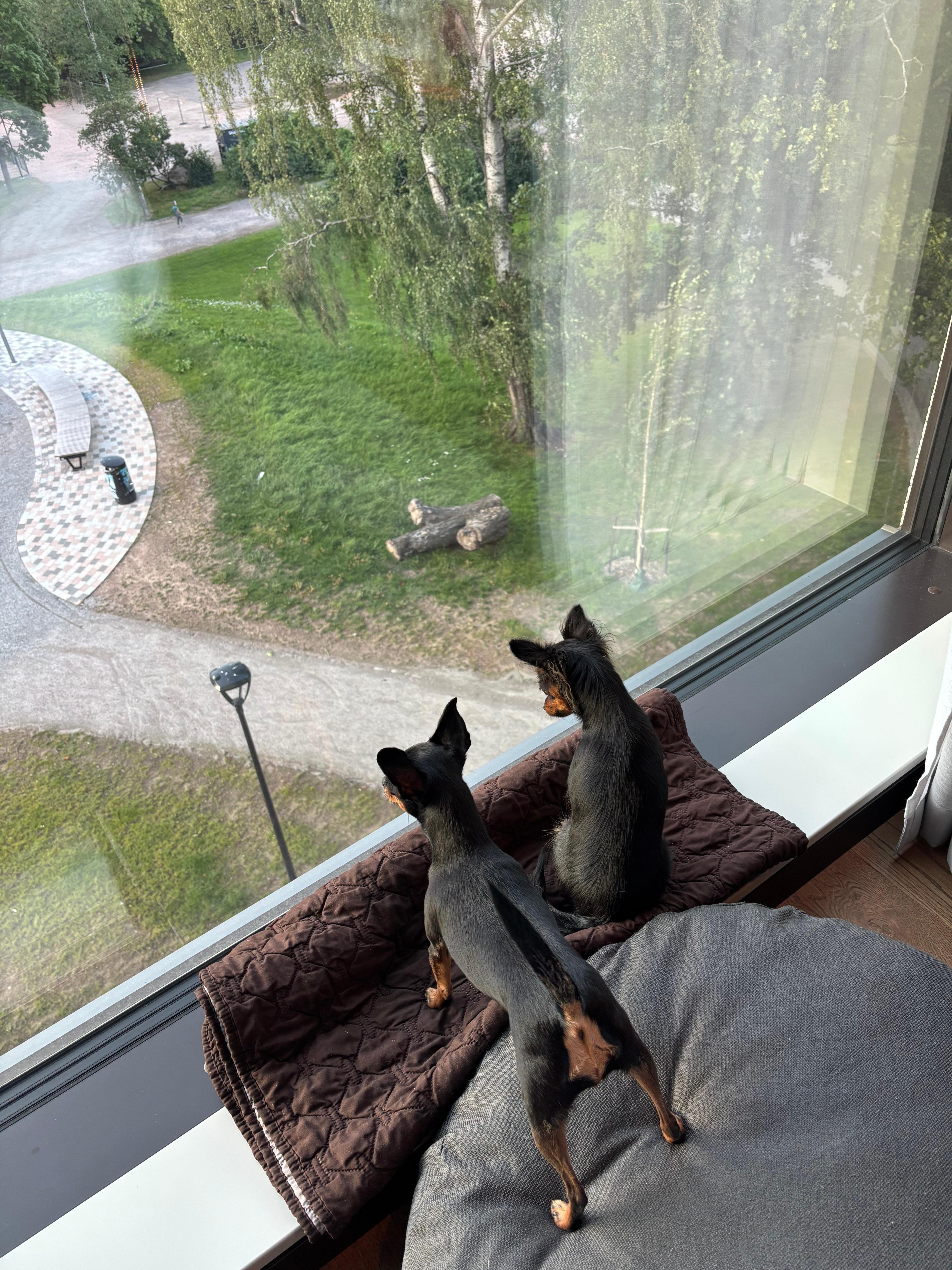 A room with a view 😊