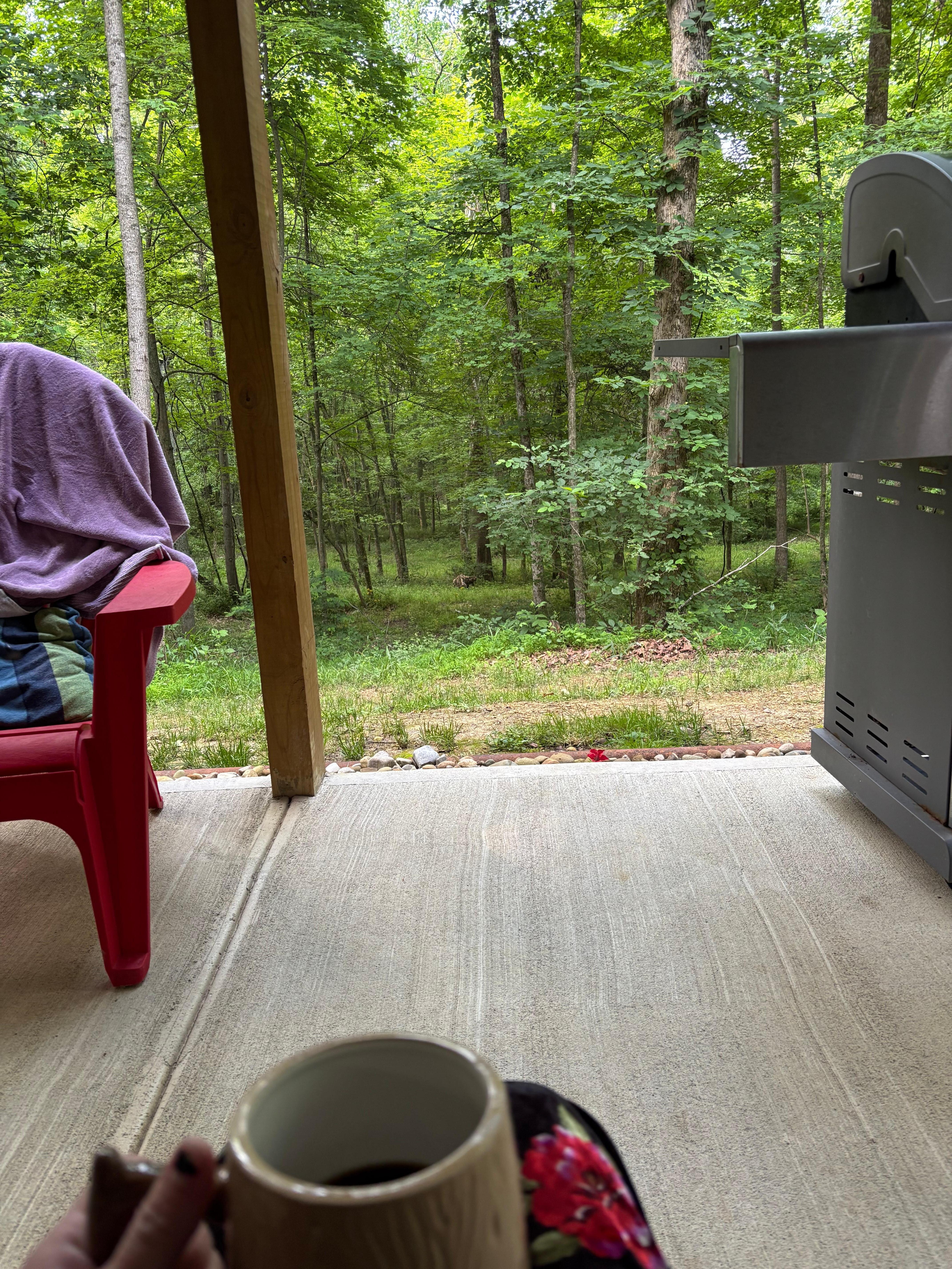 View from downstairs patio, next to hot tub and grill