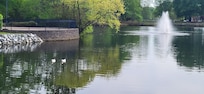 Garden lake