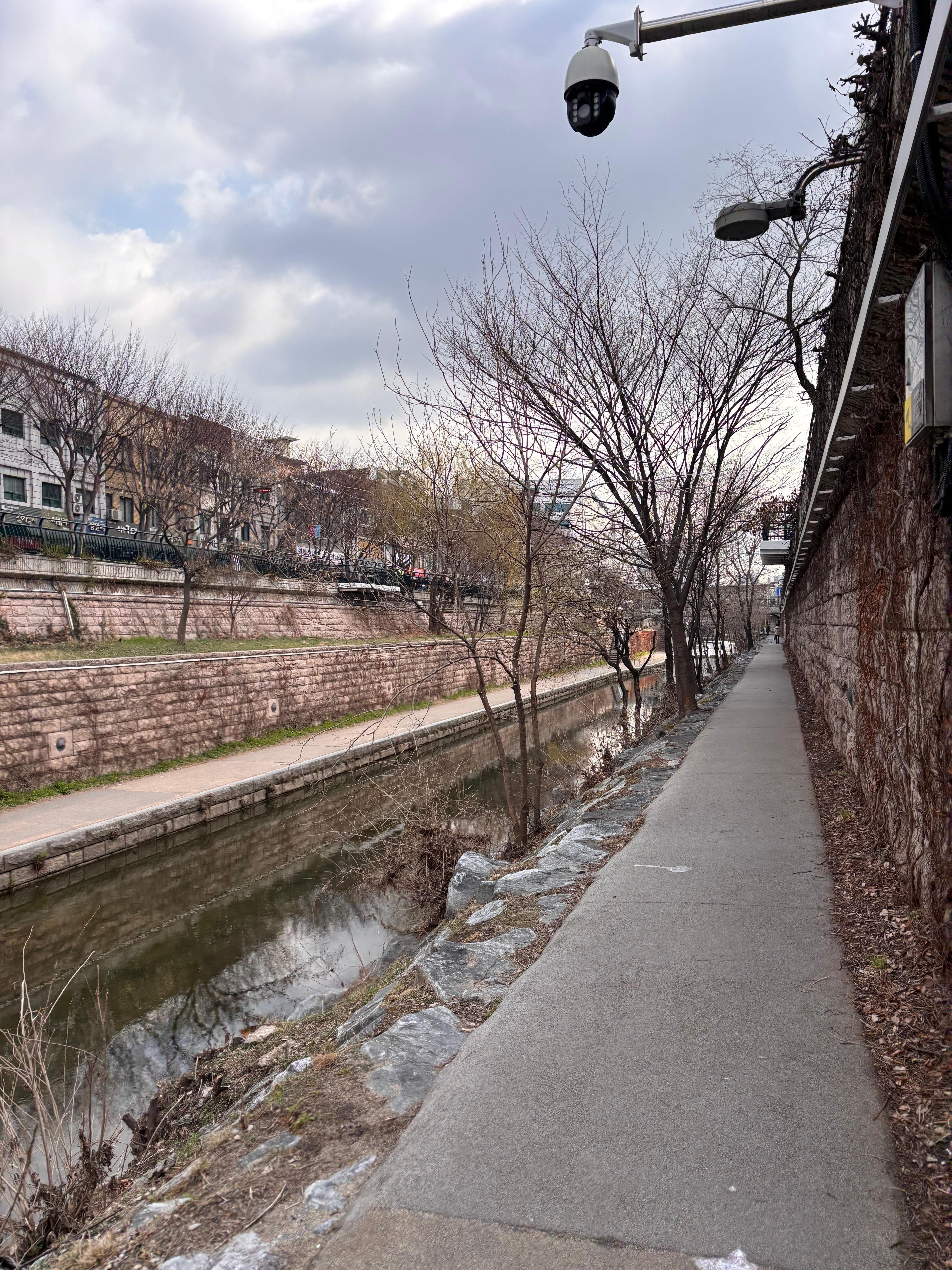 清渓川
歩道は人でいっぱいでしたが川沿いは静かでお散歩に快適