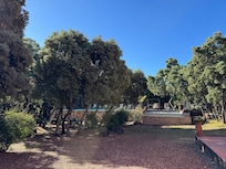 Piscine vue de la terrasse du petit dejeuner