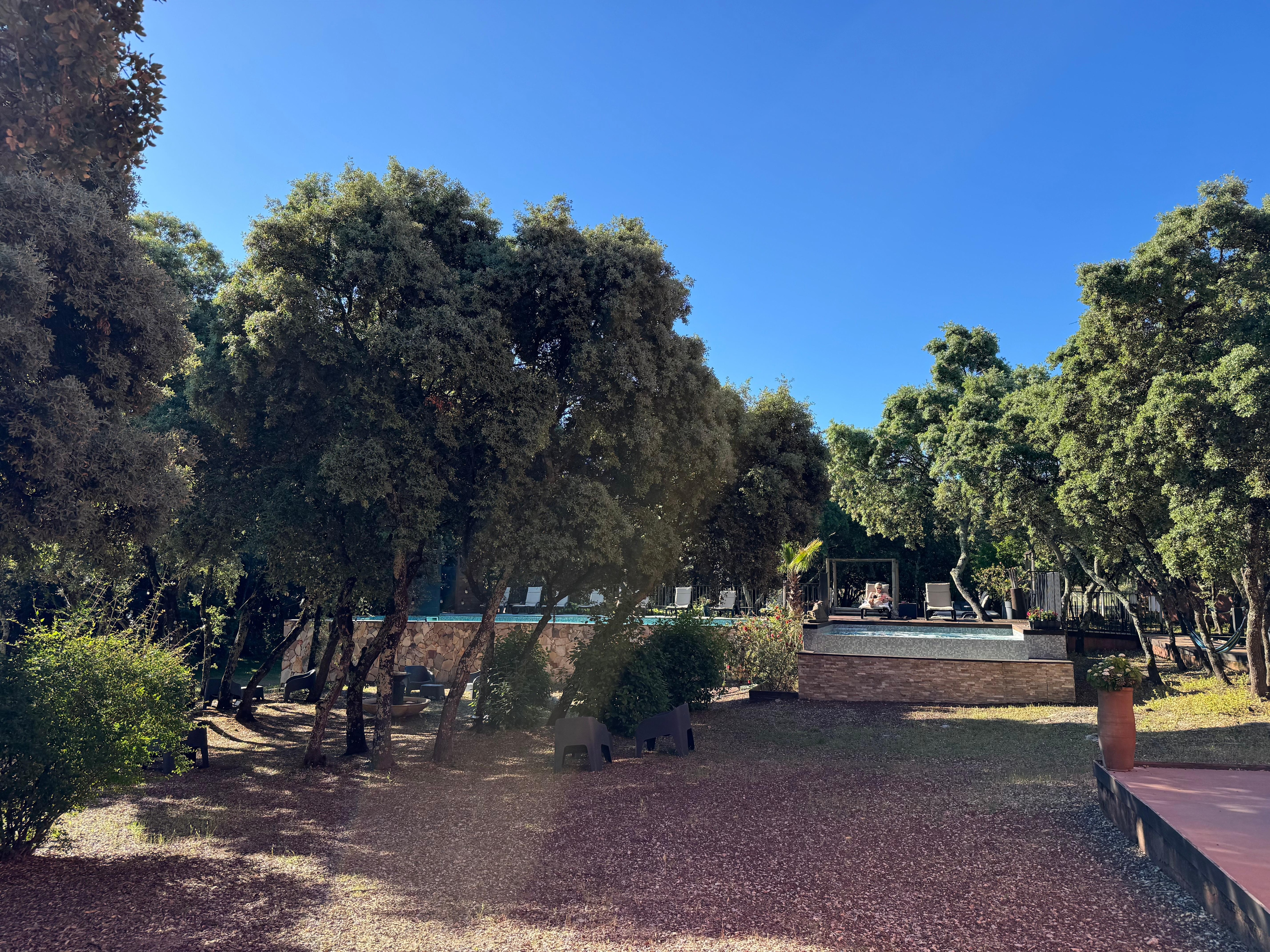 Piscine vue de la terrasse du petit dejeuner
