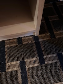 Cigarette burns in carpet