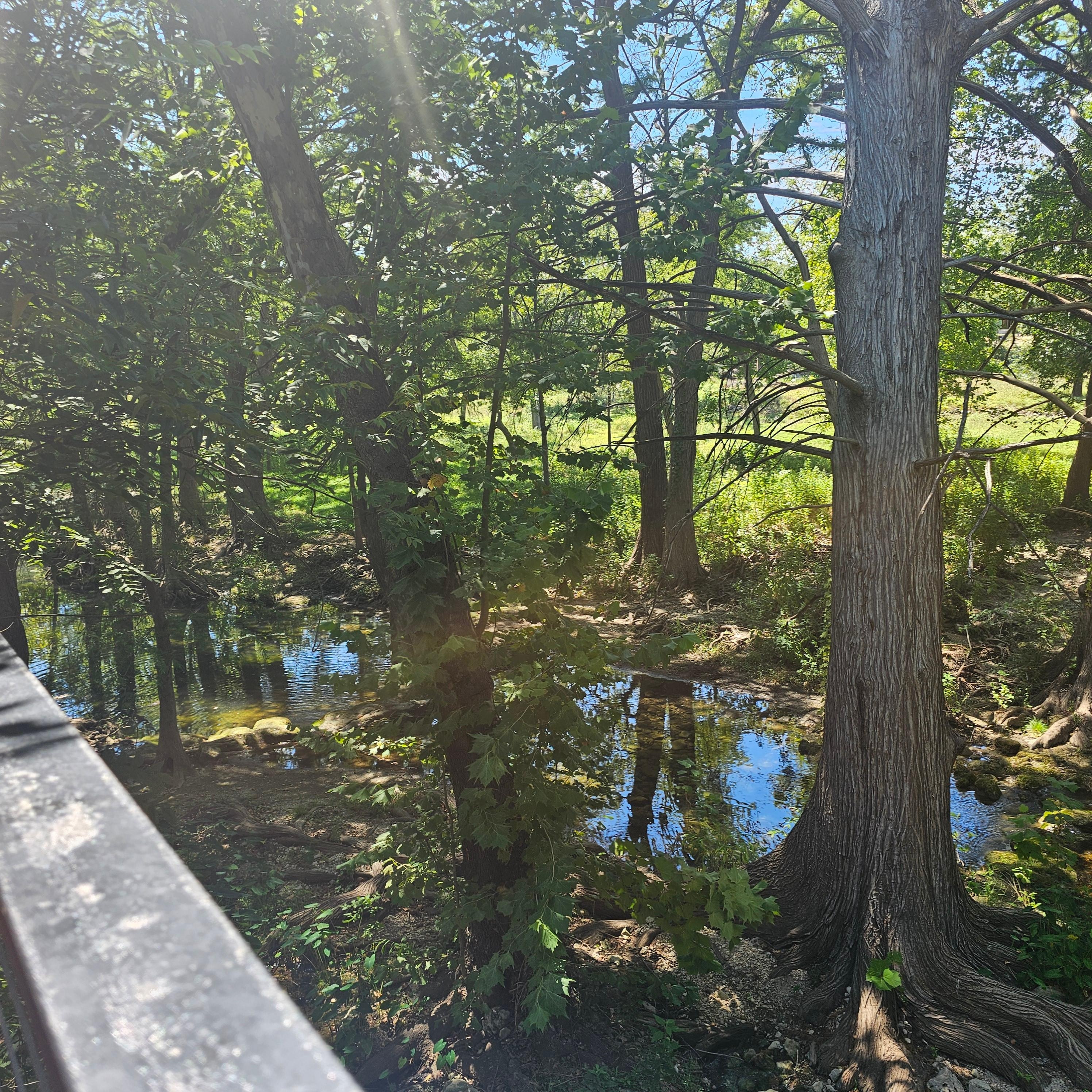 At water looking left