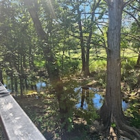 At water looking left