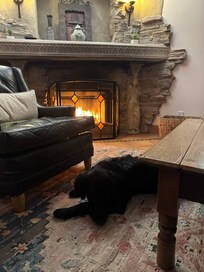 Fireplace plus tired puppy! Happy this home was dog friendly!