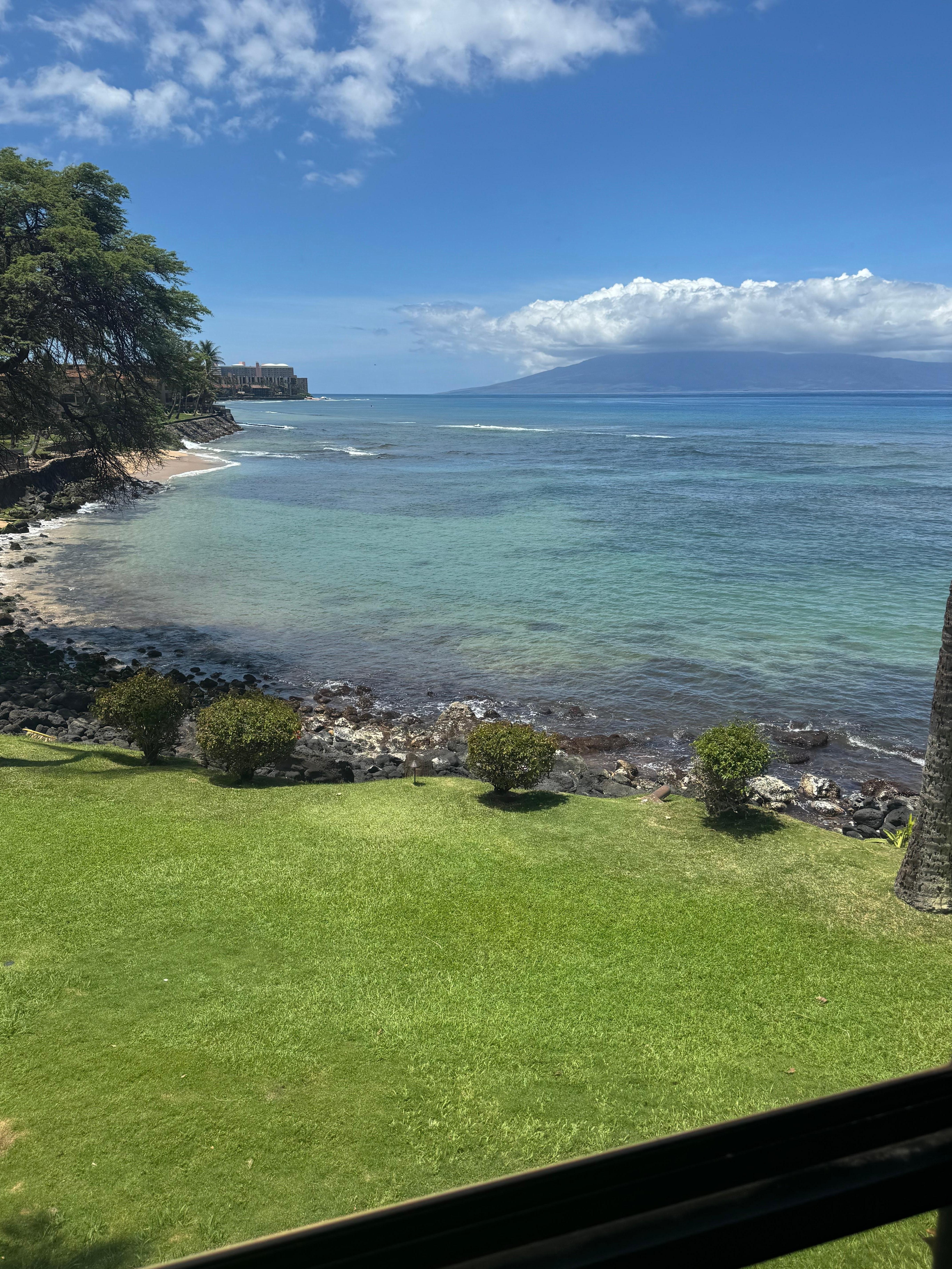 View from kitchen table