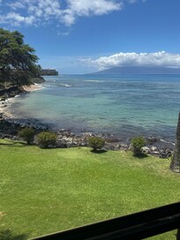 View from kitchen table
