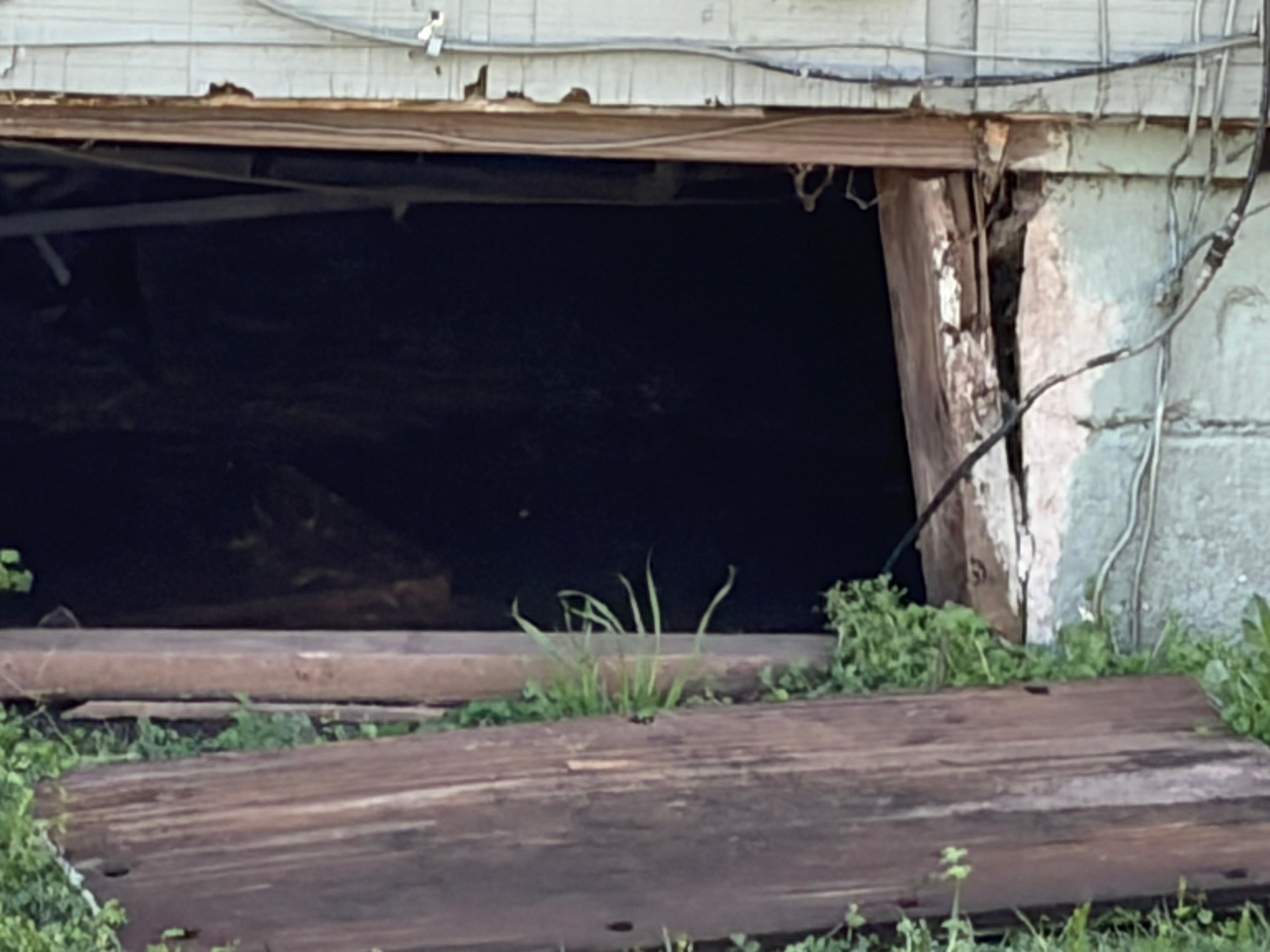 Crawl space wide open for anything or anyone to crawl in. 