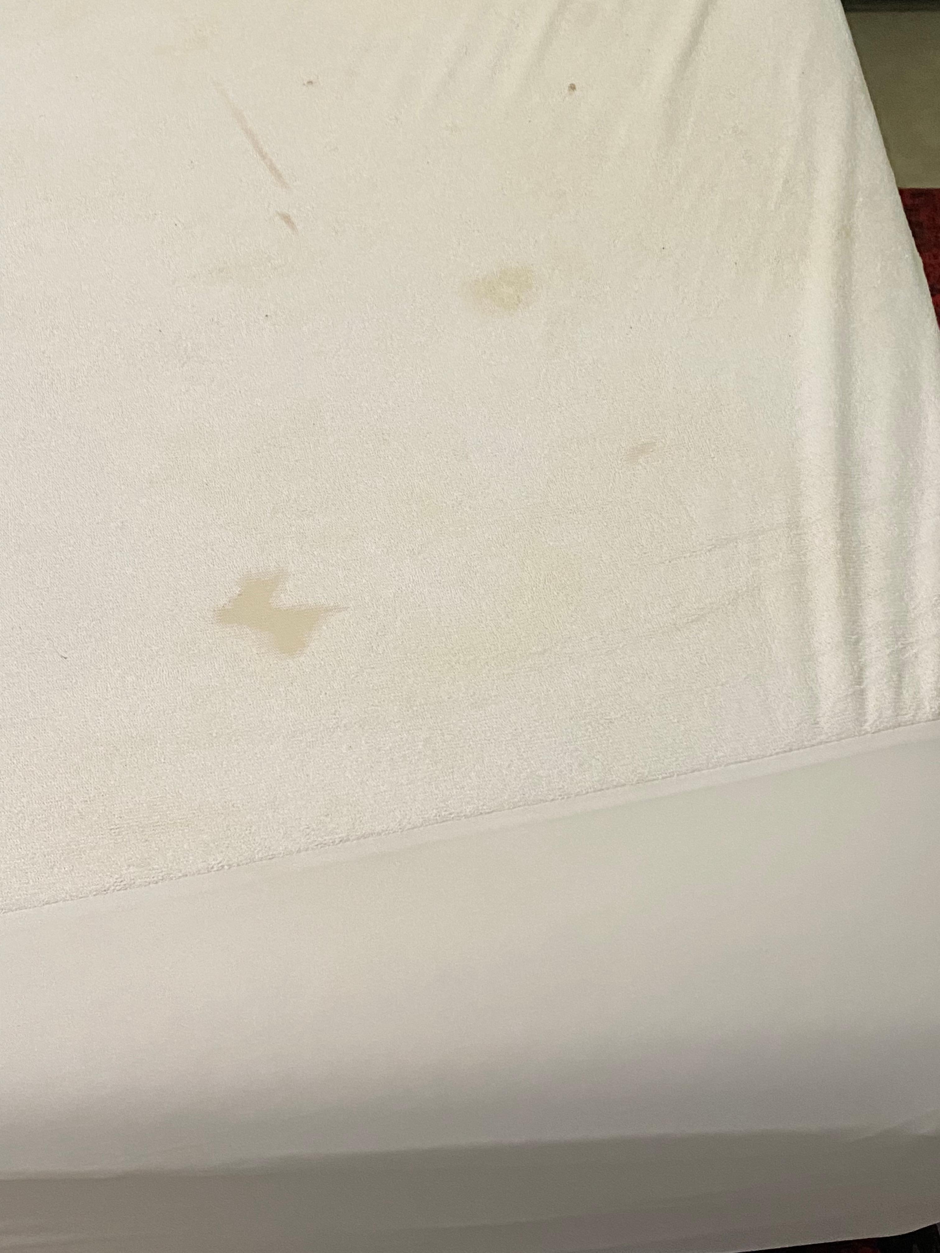 FILTHY Mattress Cover. Didn’t see it until I pulled the sheets on the last morning…