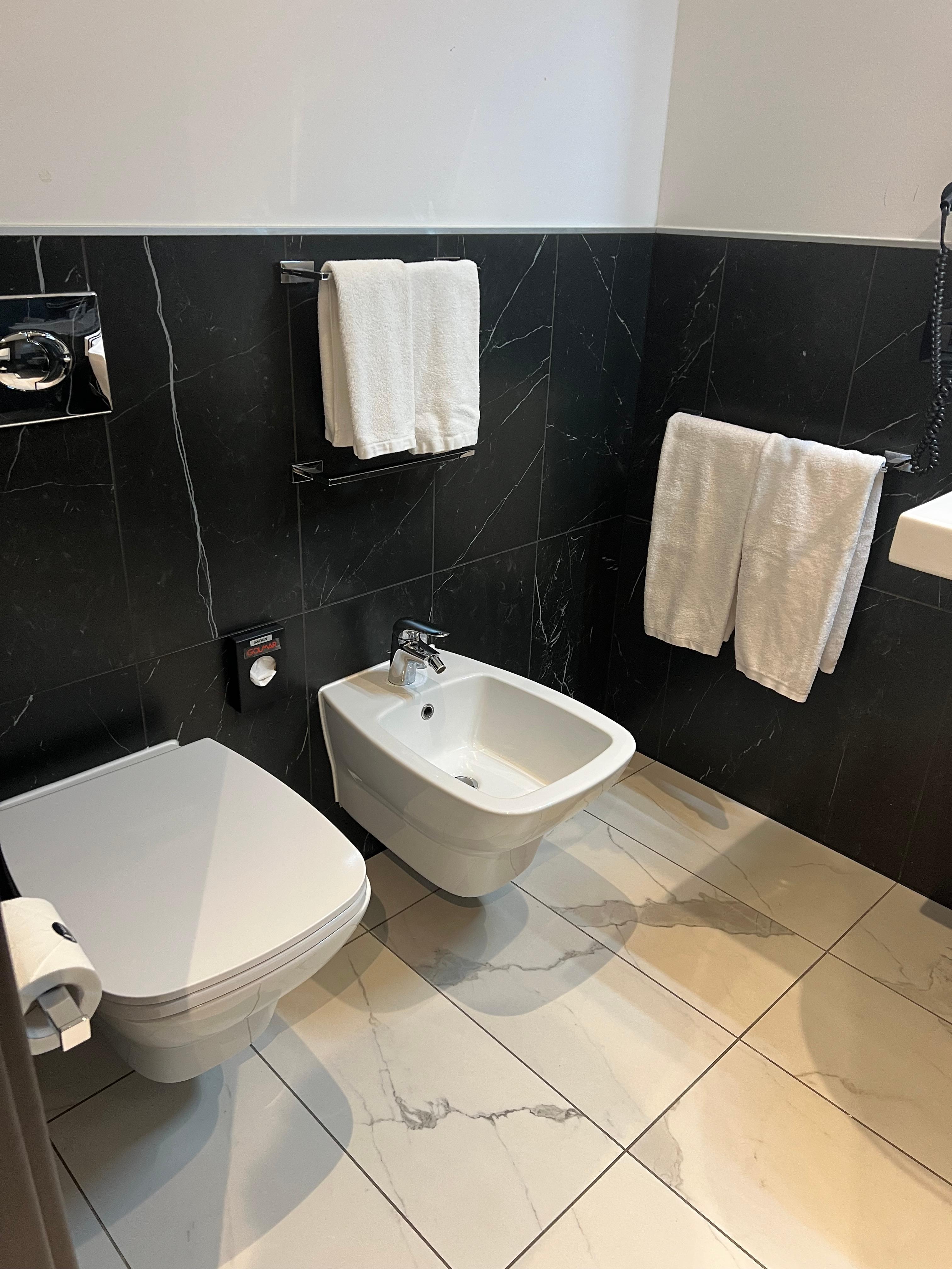 Bathroom - Toilet and Bidet