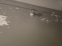 Peeling paint on door