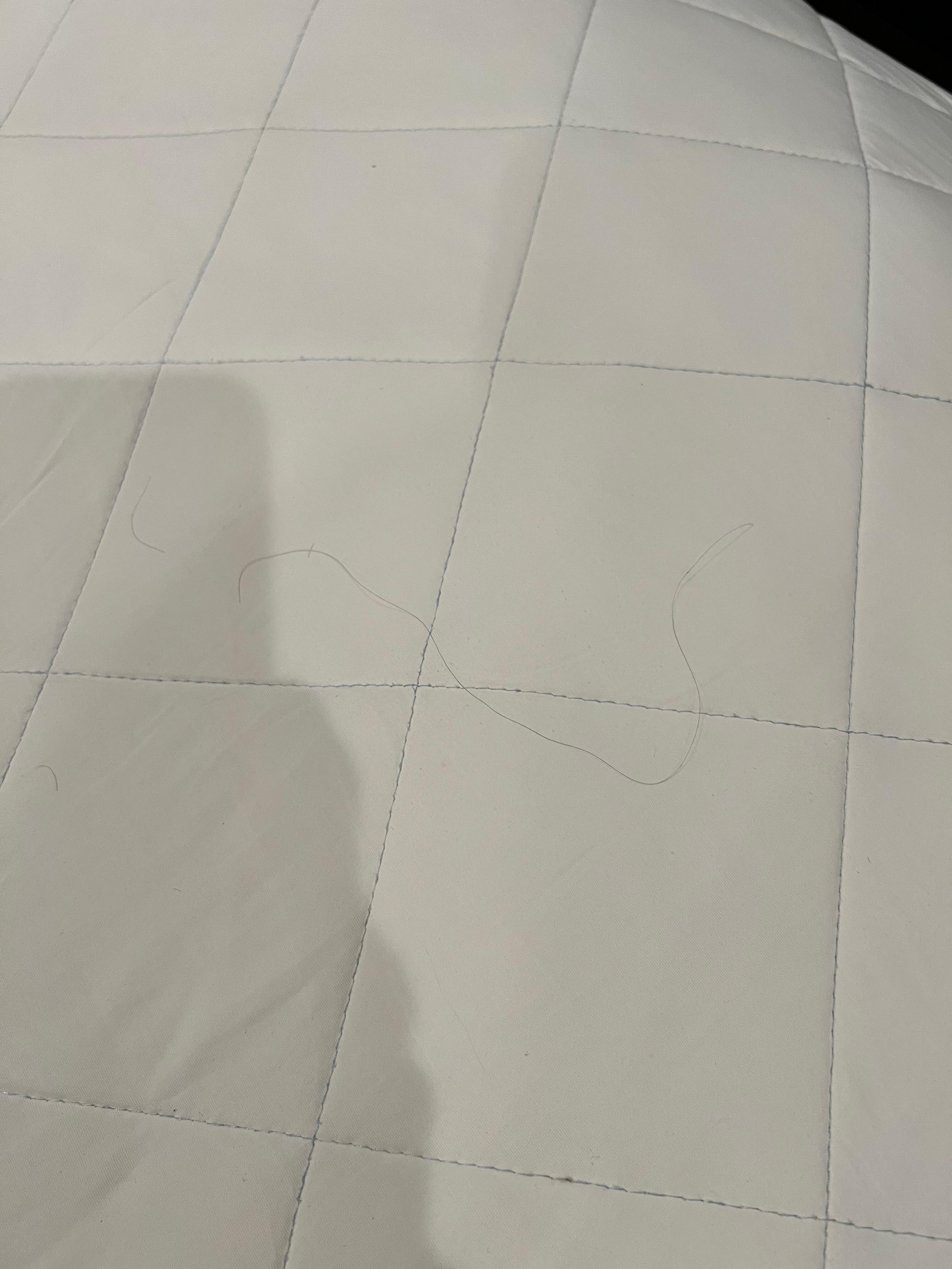 Mattress stains/hairs