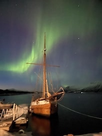 A glimce of the Northern Light above Alma that can take us out on whale safari