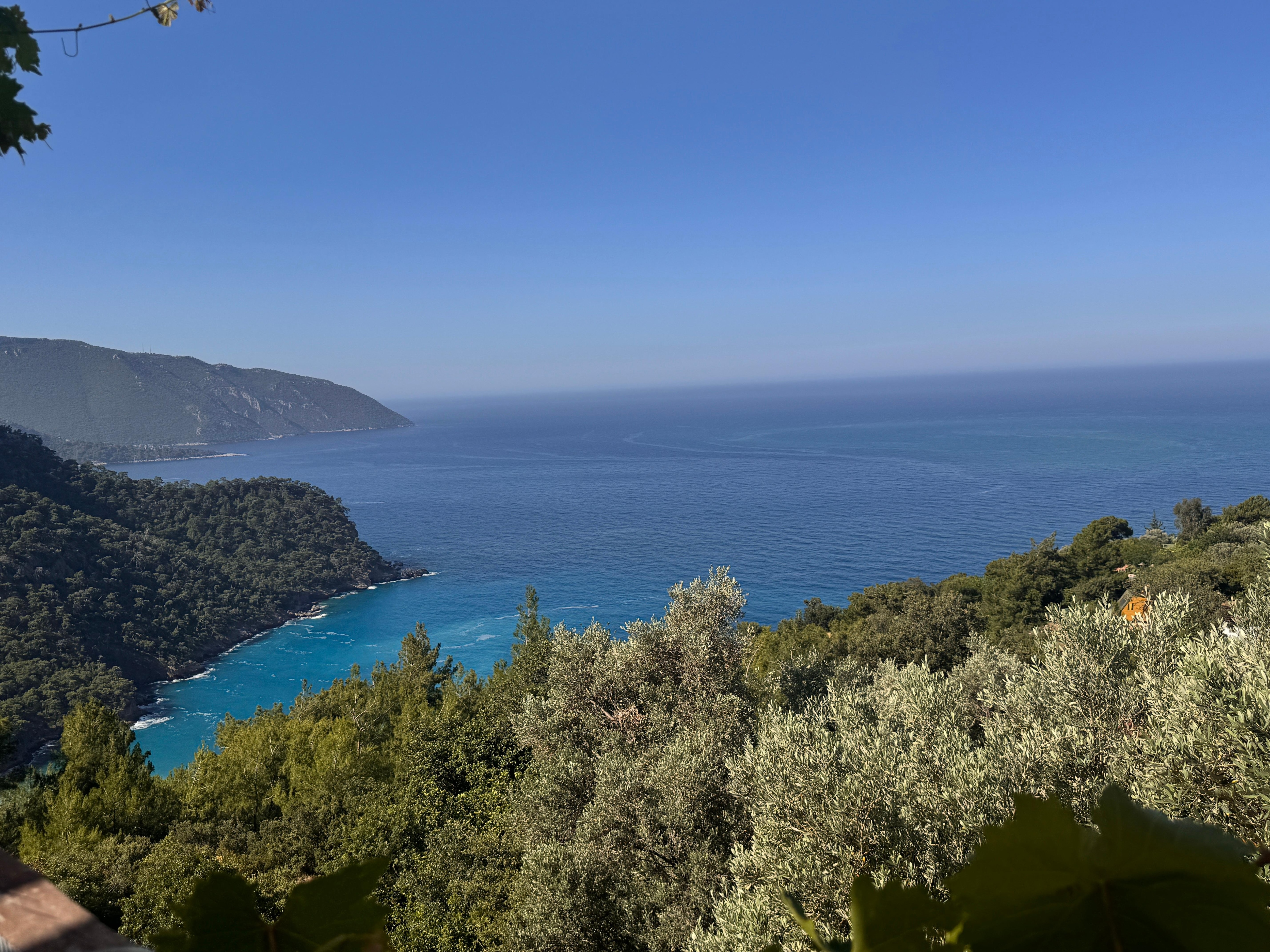 View from the restaurant 