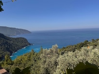View from the restaurant