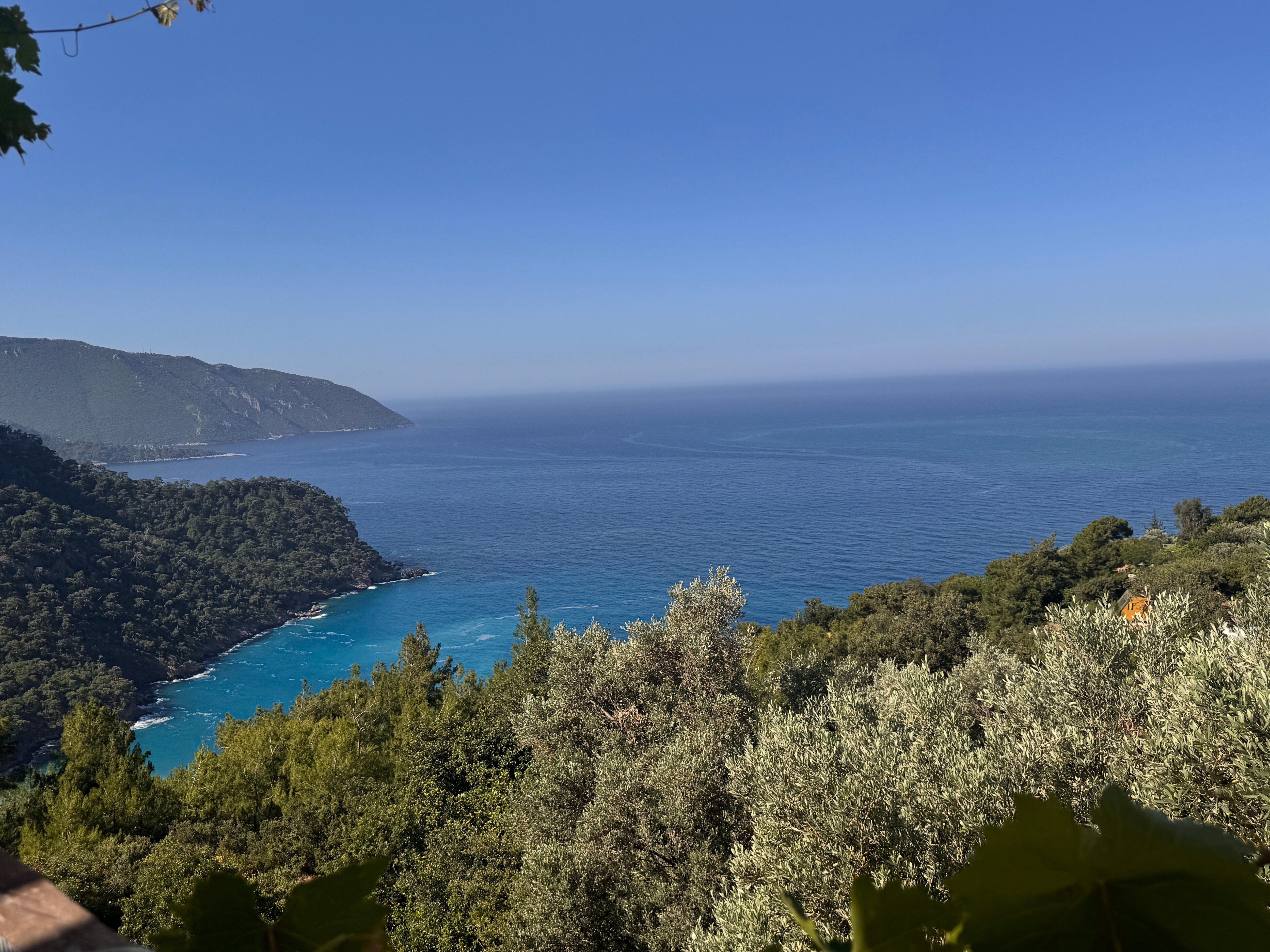 View from the restaurant 
