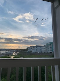 Off the main deck