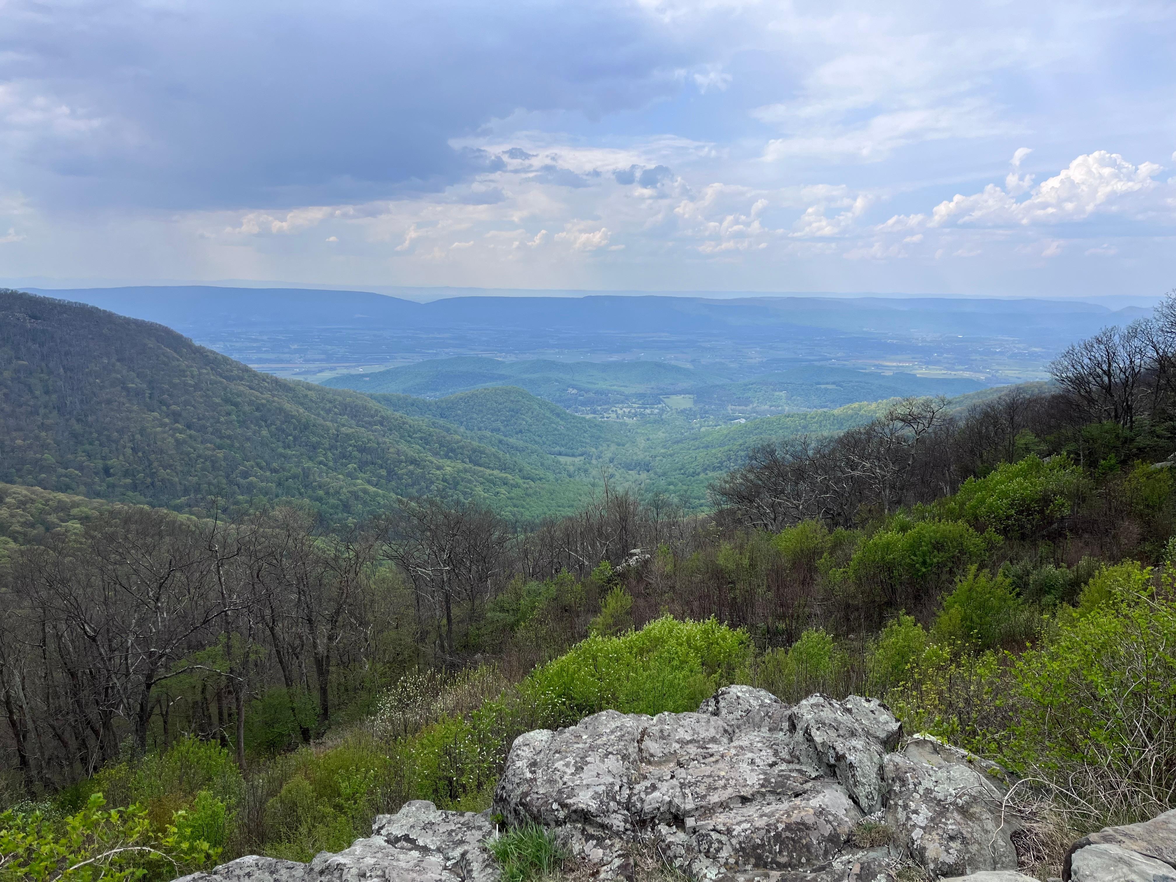 One view from an overlook at Shenandoah National Forest