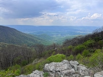 One view from an overlook at Shenandoah National Forest