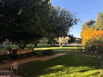 Le magnifique jardin