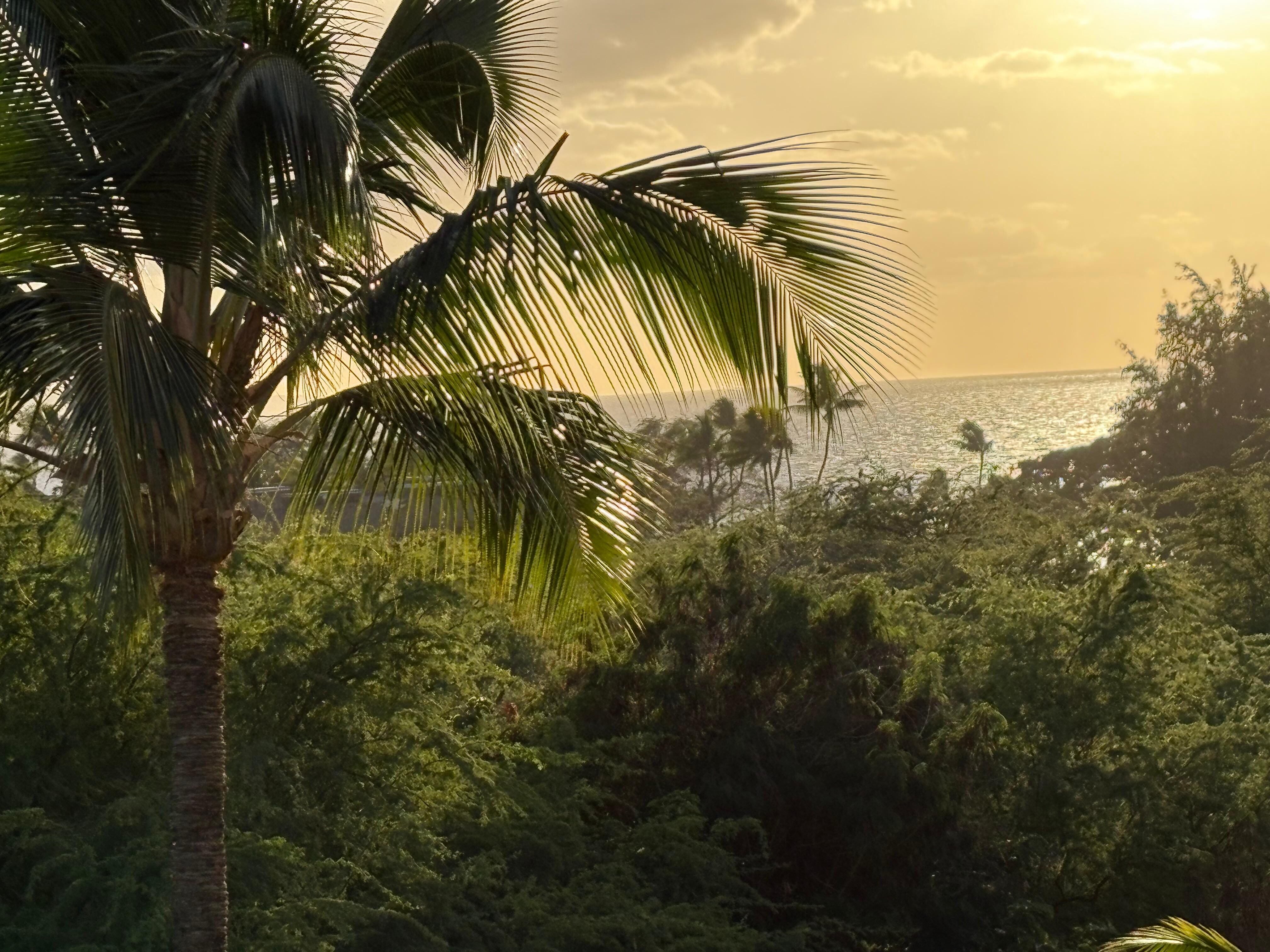 View from the balcony at sunset