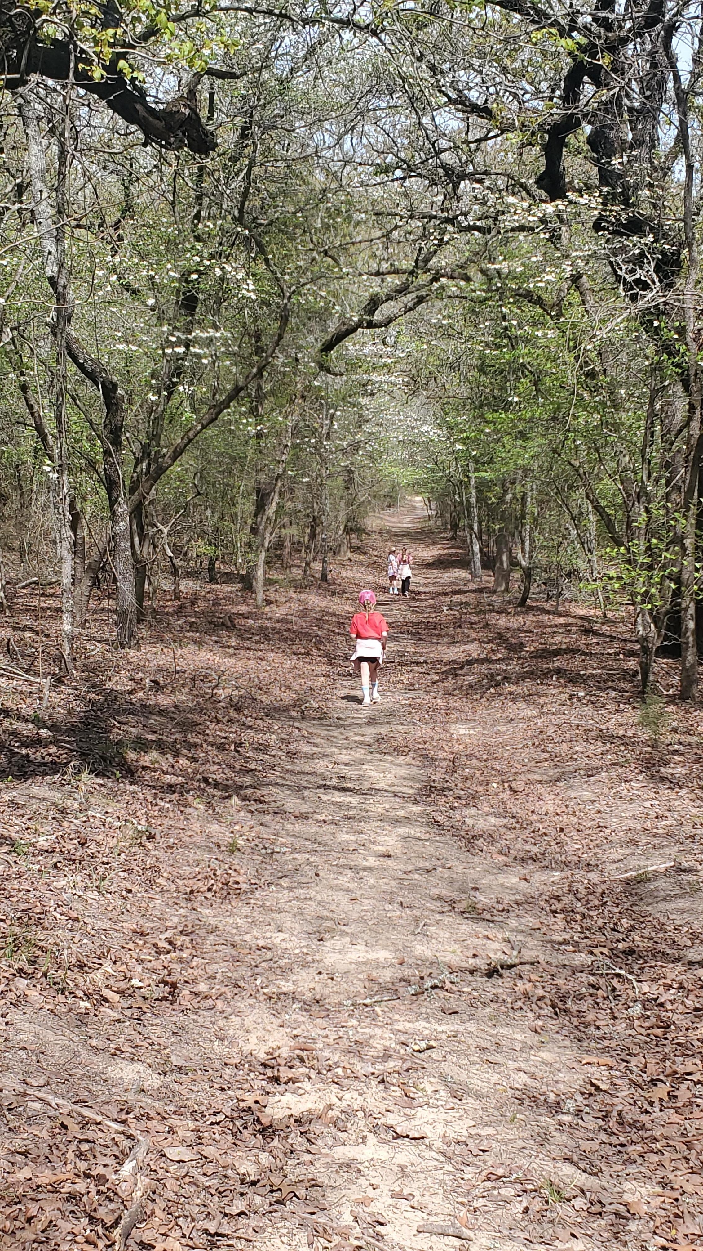 Walking the trails! Very easy for all ages!! 