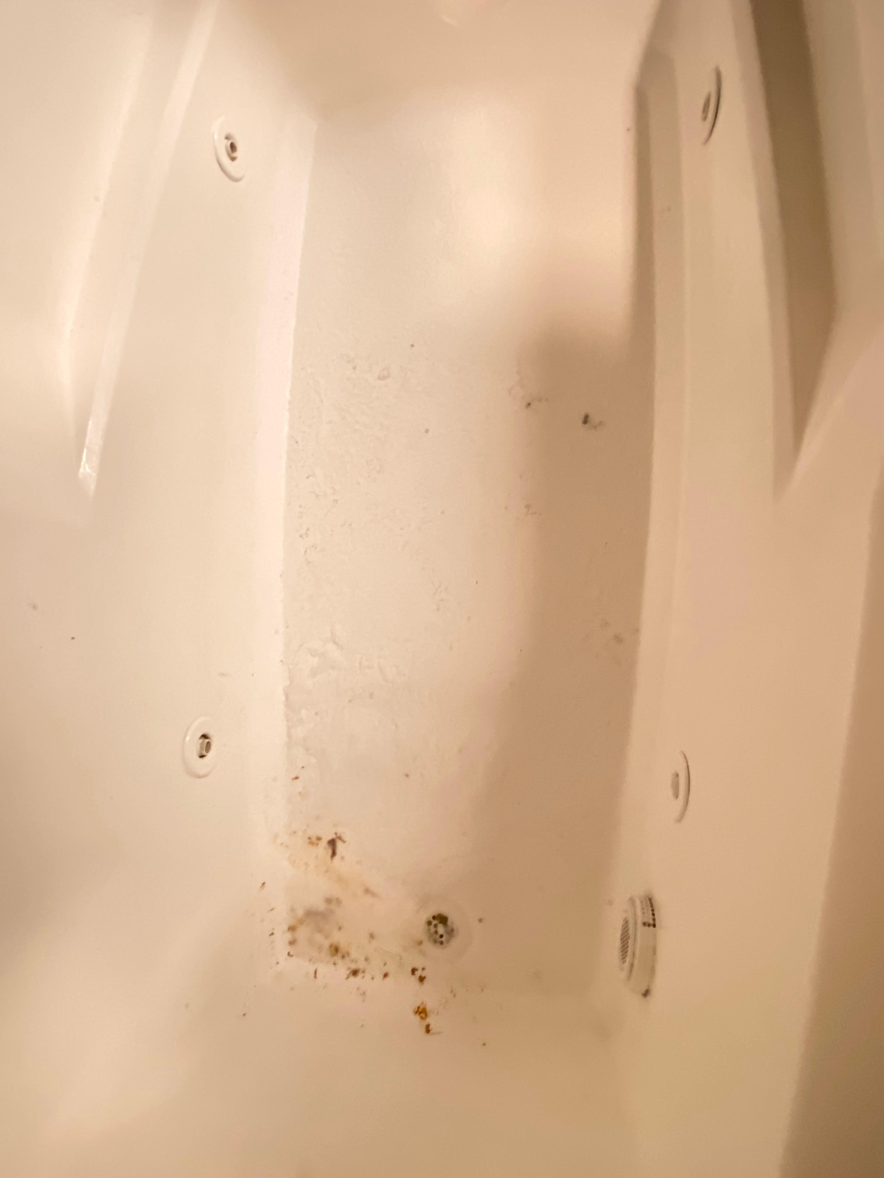 Slime left over from the bathtub jets