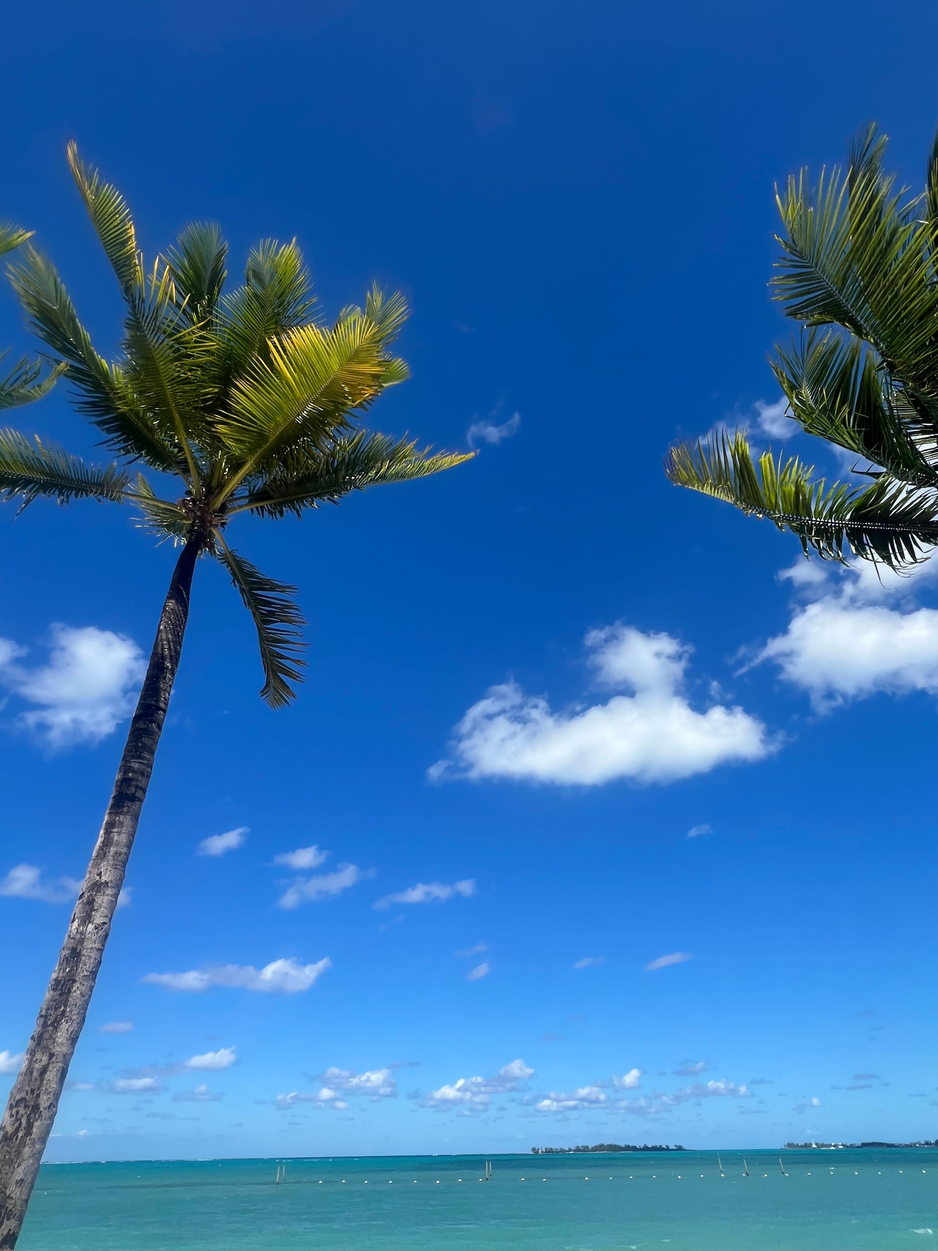 View from the beach chairs :)