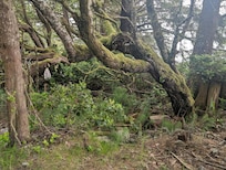On the way to the lighthouse.