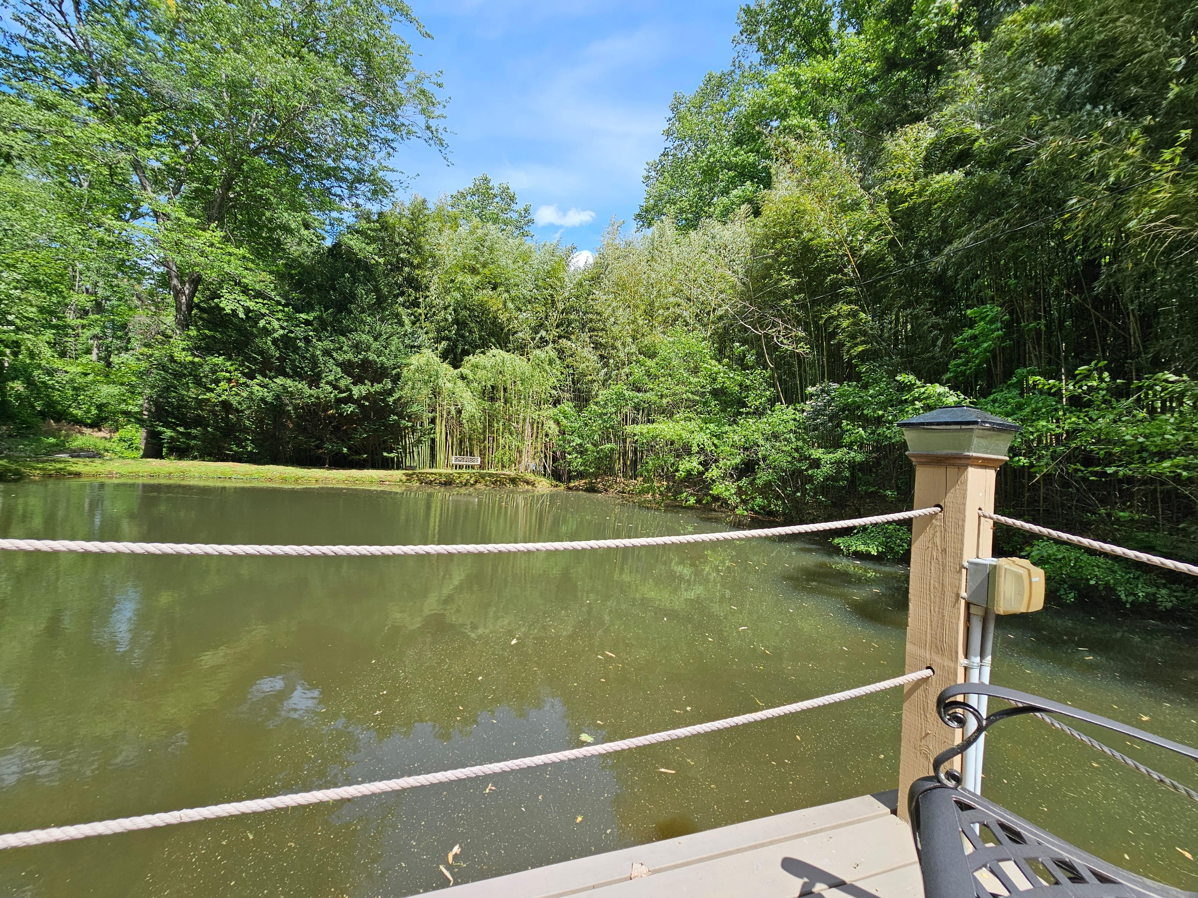 View from deck.