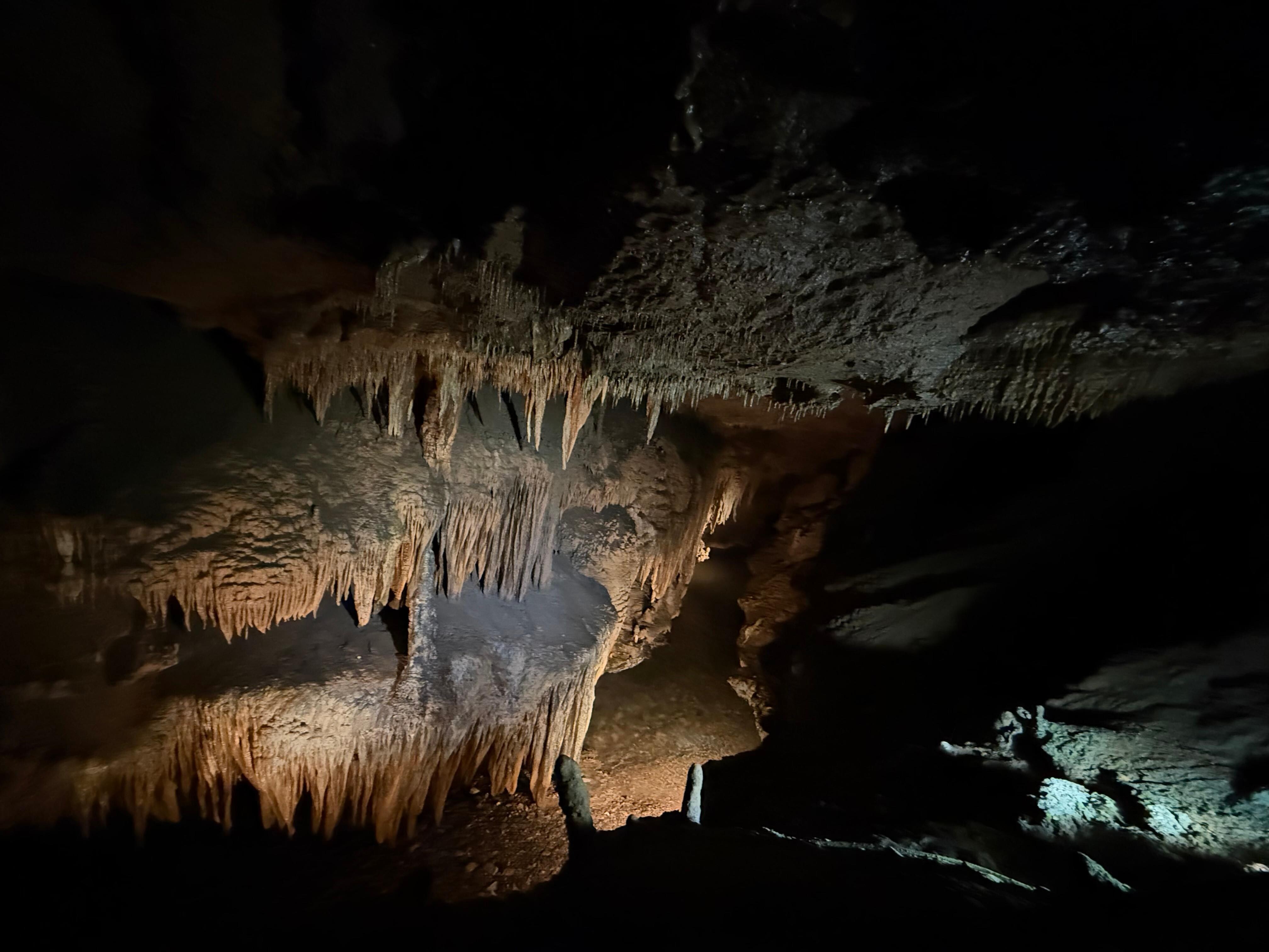The Caves