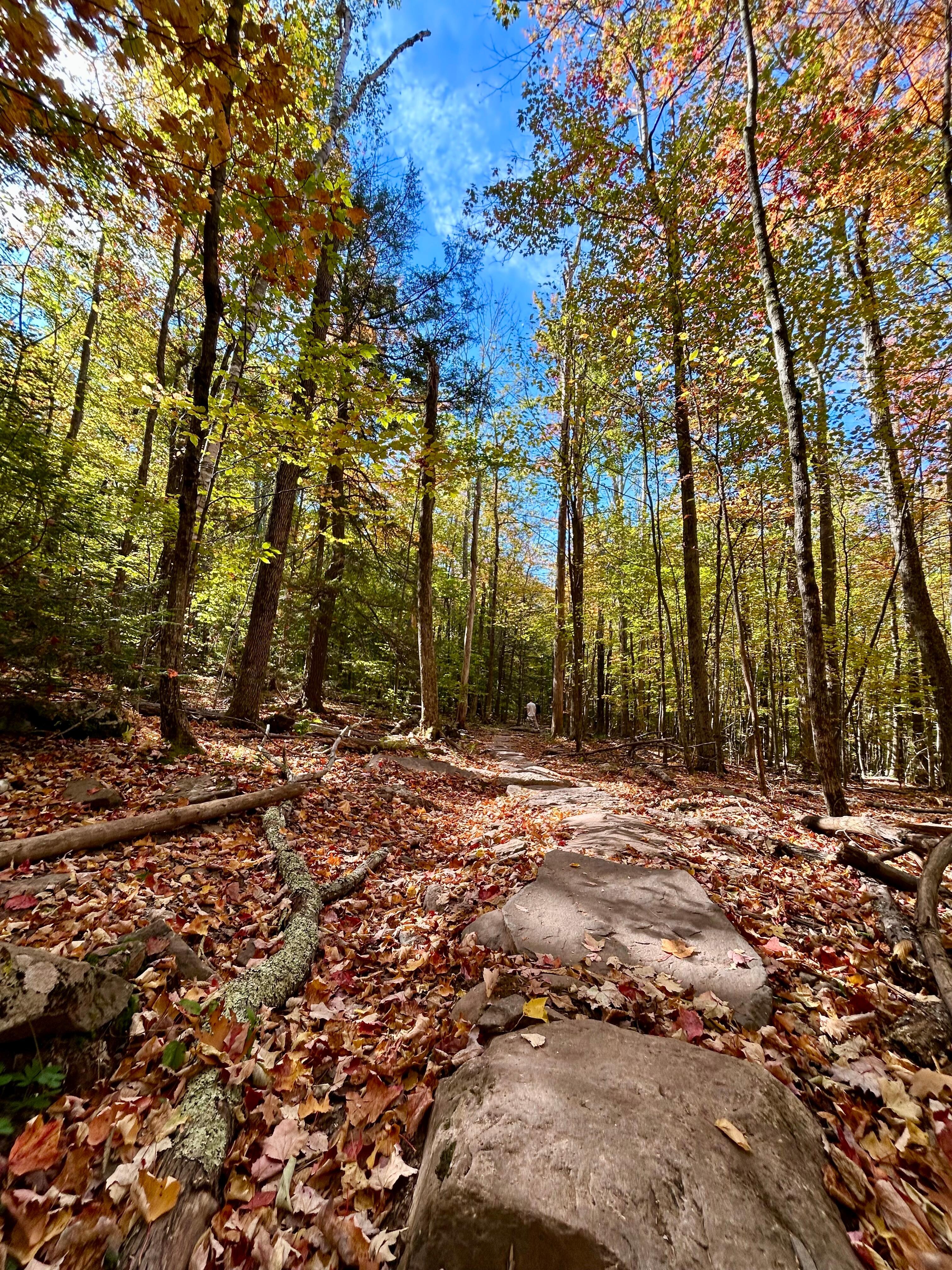 Catskills Falls Trail 