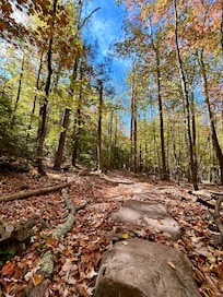 Catskills Falls Trail