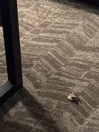 Trash on the floor