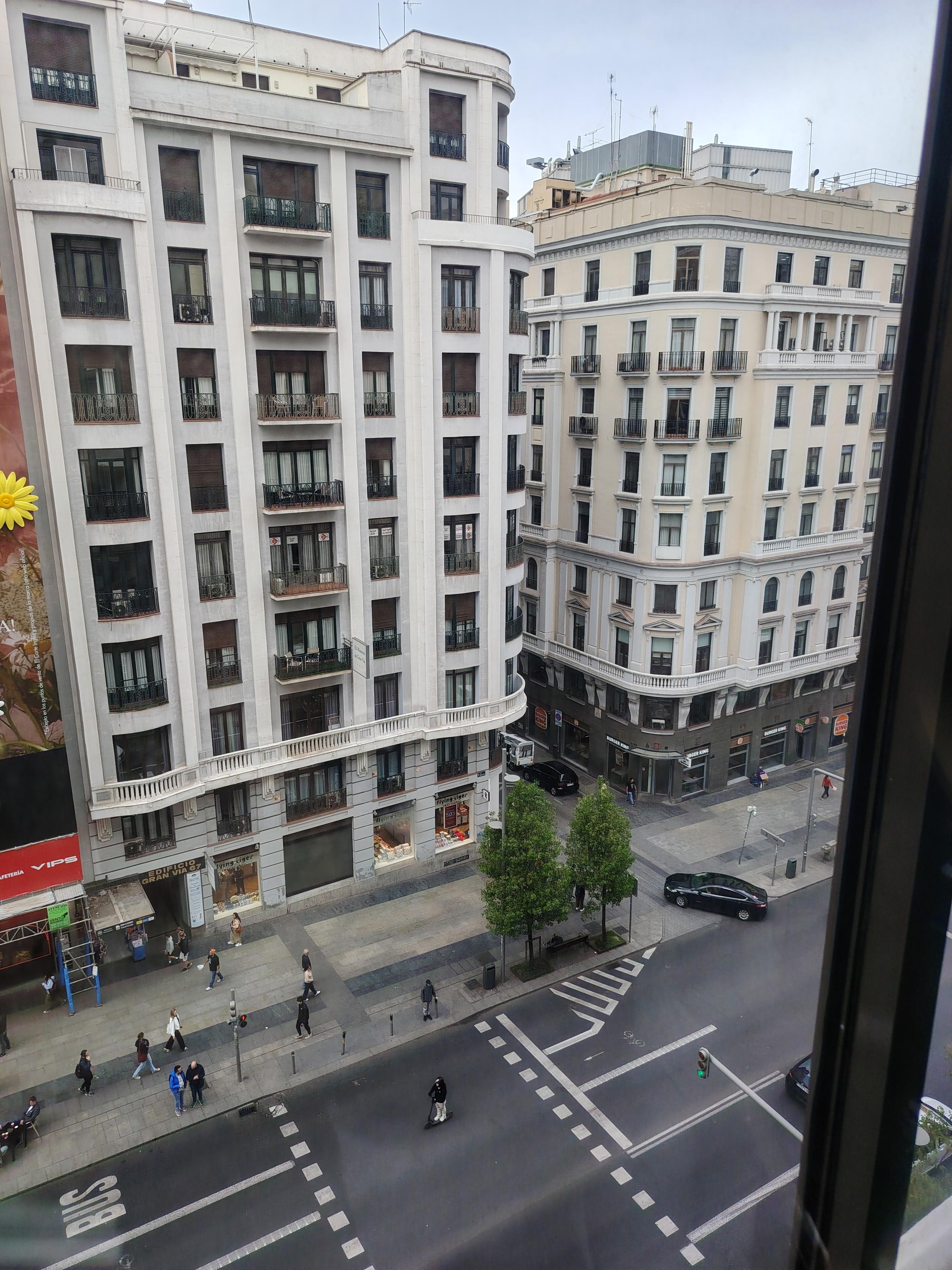 Vista desde la habitación 