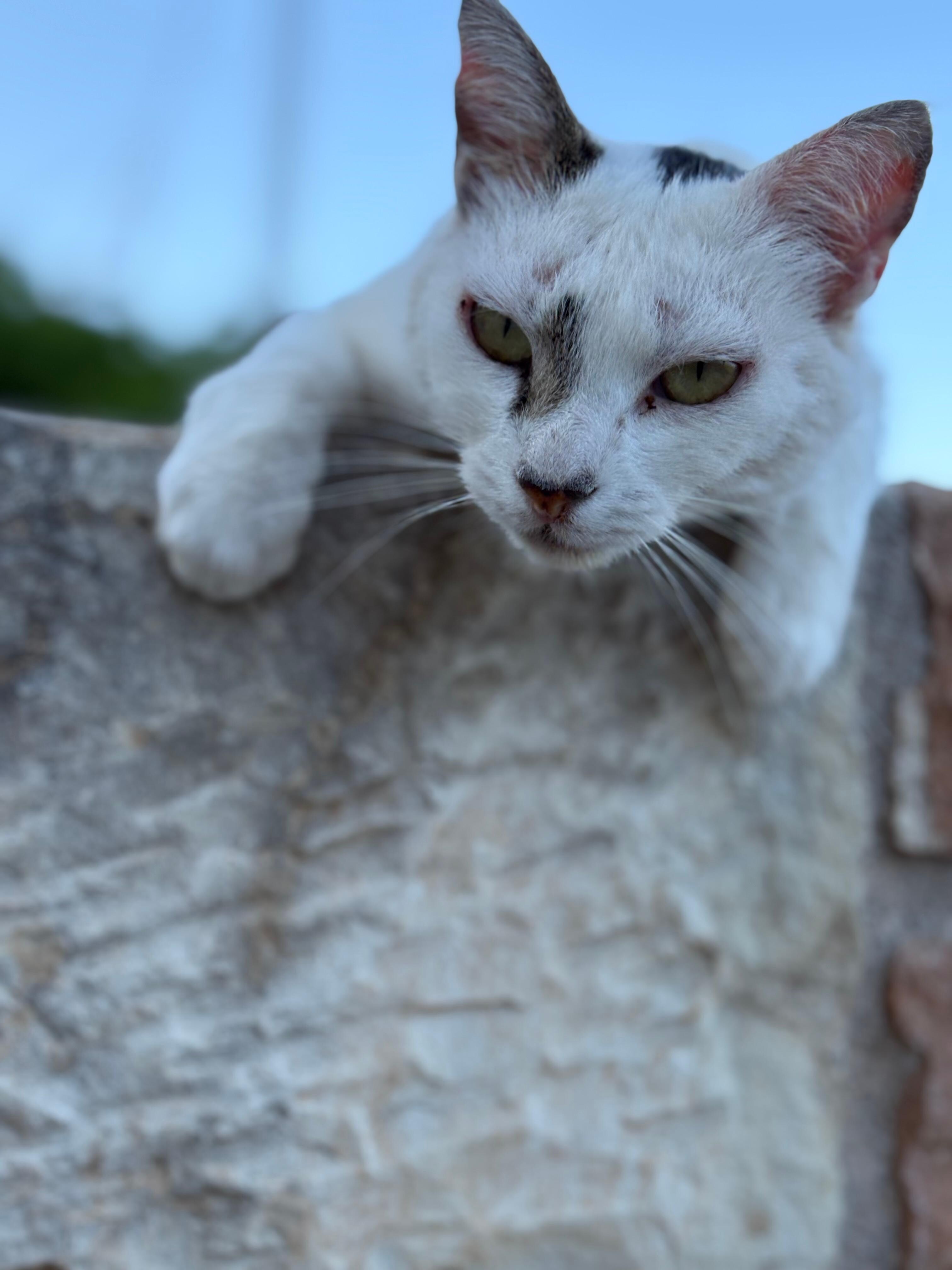 Smudge