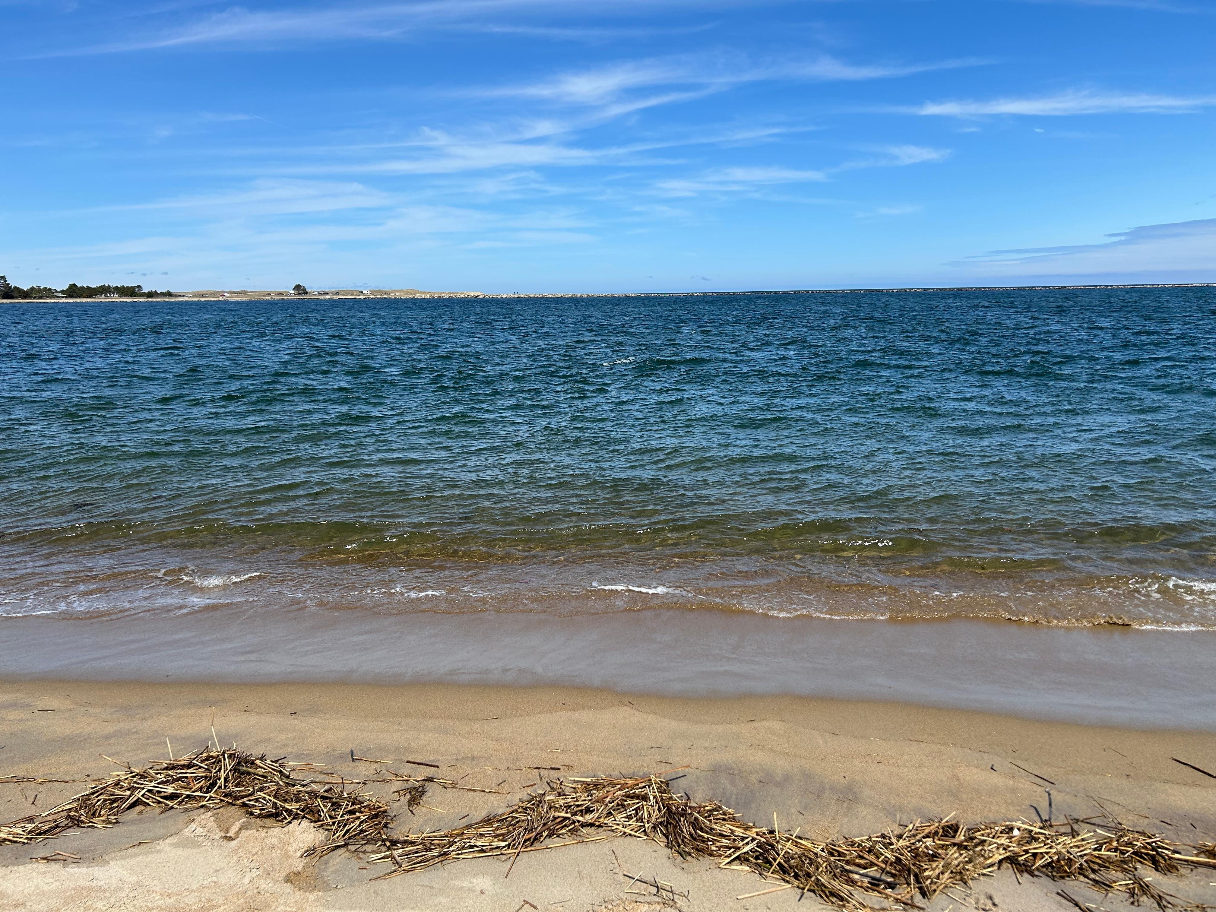 The ocean was so close