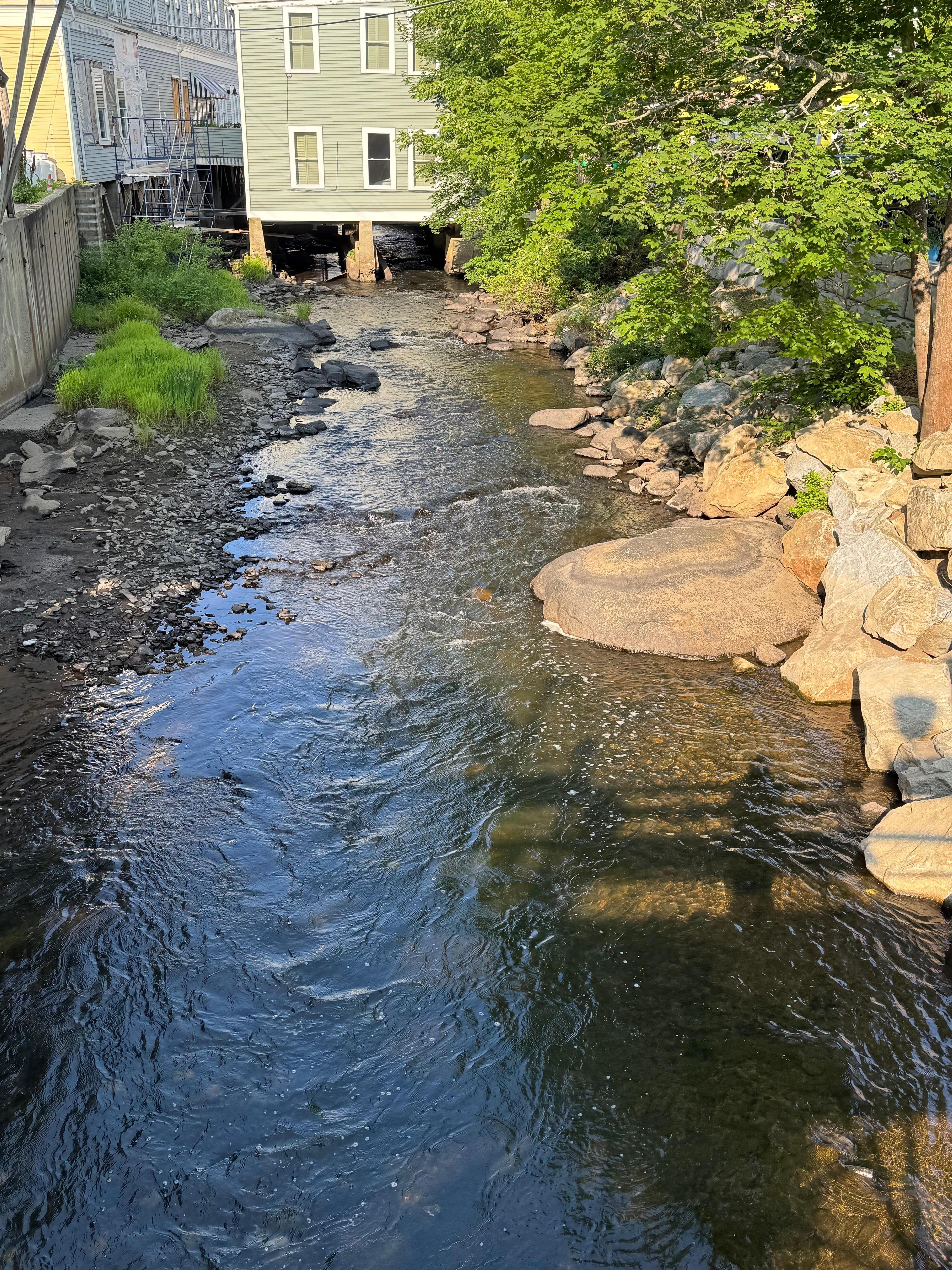 Back of bldg & river
