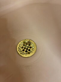 Hair in shower drain
